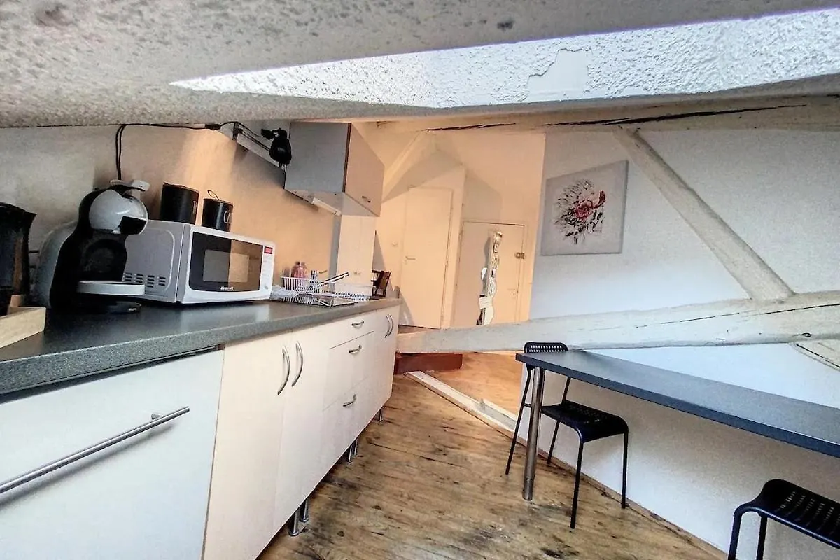 Le Saint Jacques Apartment Grenoble