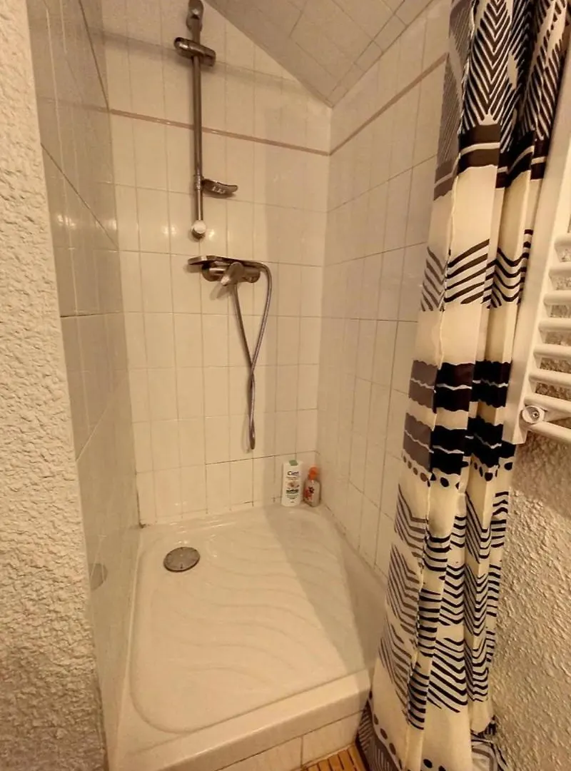Le Saint Jacques Apartment Grenoble