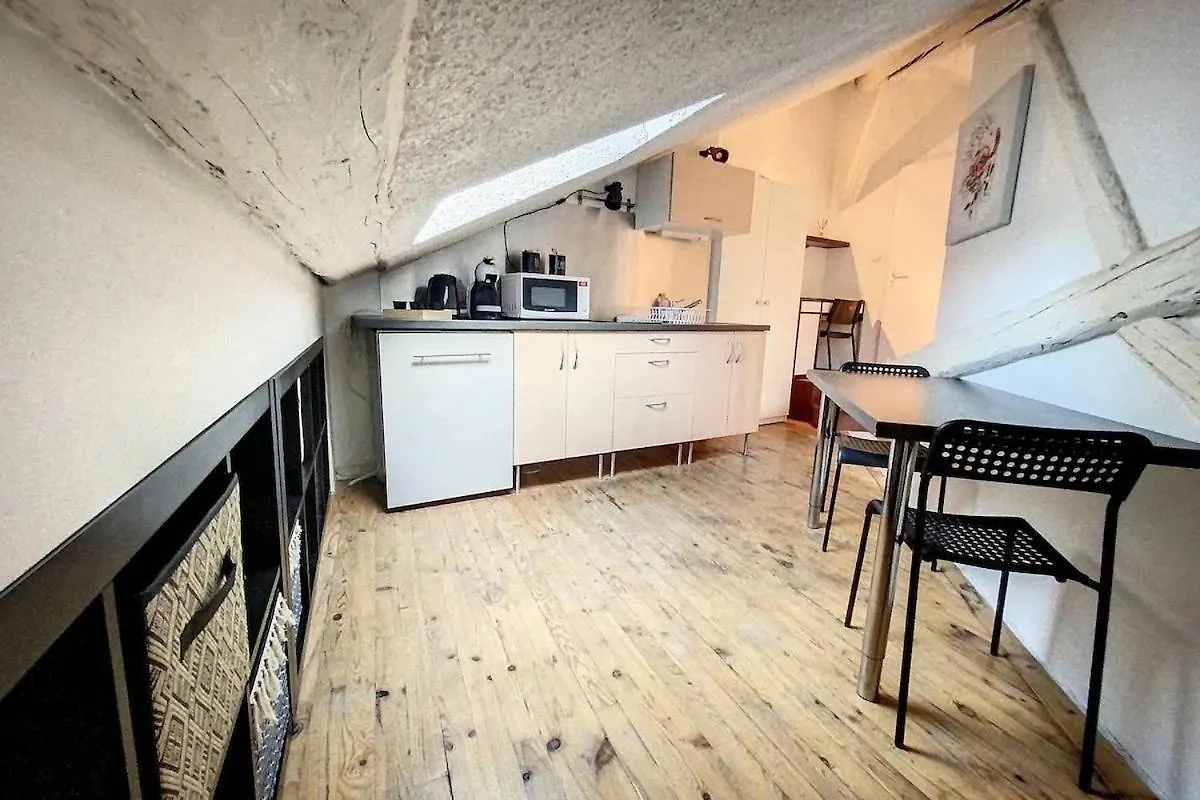 Le Saint Jacques Apartment Grenoble France